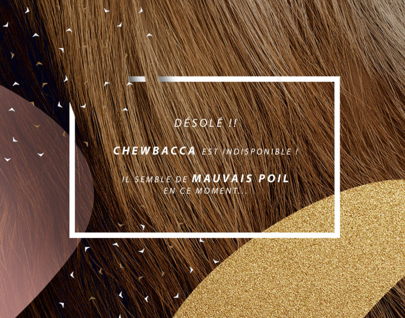 visuel page contact chewbacca