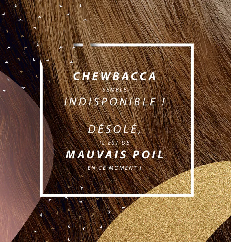 visuel page contact chewbacca