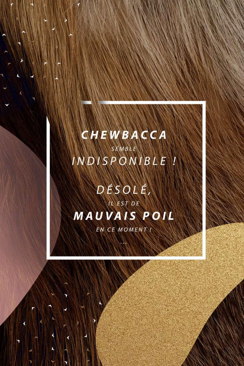 visuel page contact chewbacca
